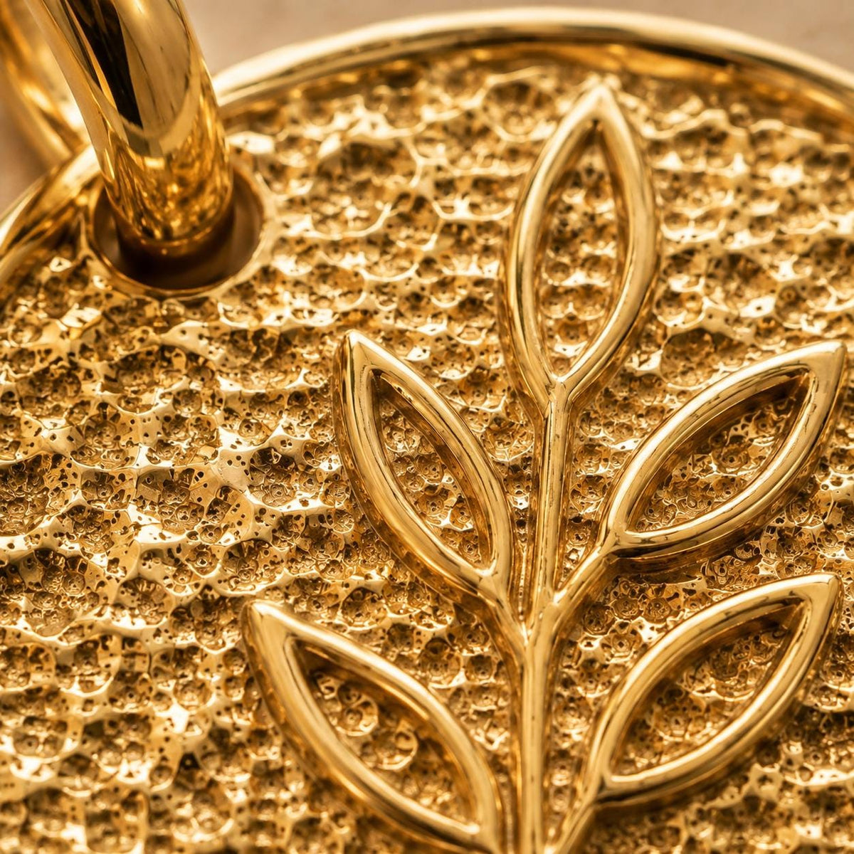 Olive Branch Coin Pendant Charm Necklace Peace Symbol Jewelry Meaningful Gift for Her Gold Pendant